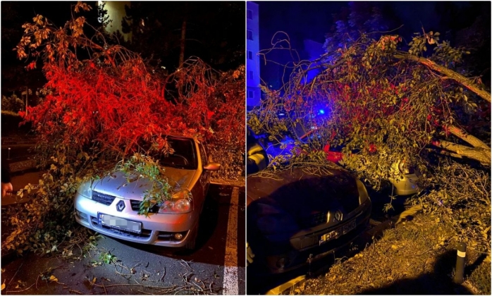 VIDEO. Un copac a CĂZUT peste două mașini în Cluj-Napoca și le-a DISTRUS